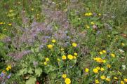 bild4293.jpg